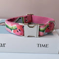 Personalized Bow Dog Collar & Leash Set