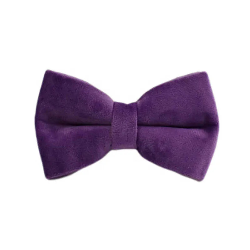 Purple Velvet Engraved Nameplate Dog Collar & Leash Set
