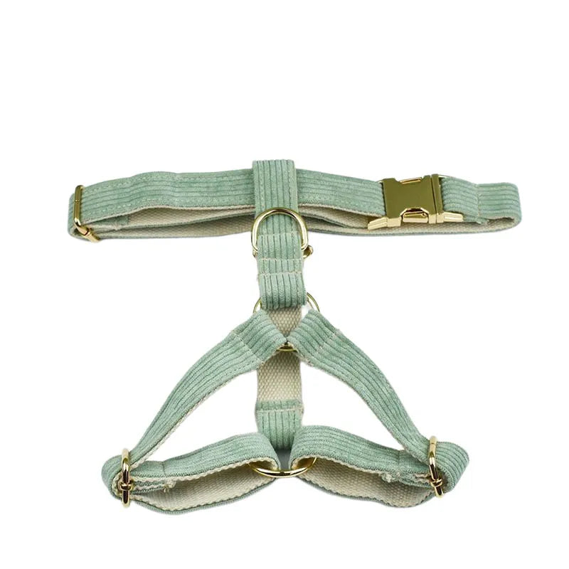 Light Green Corduroy Engraved Nameplate Dog Collar & Leash Set