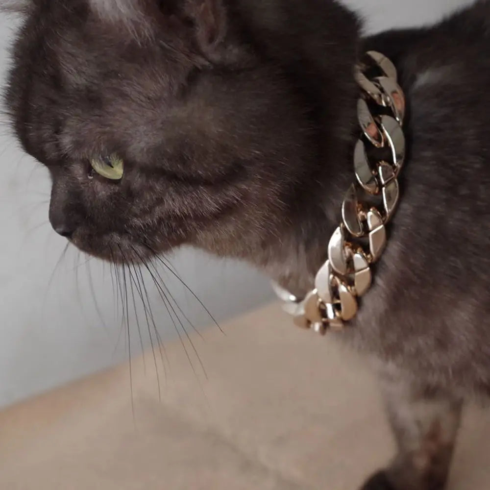 Gold Chain Fashion Collar for Cats & Dogs