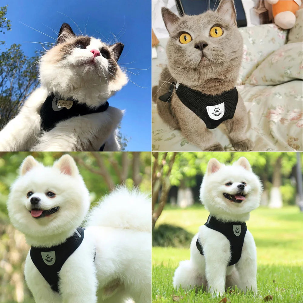 Breathable Cat Harness Vest & Leash Set