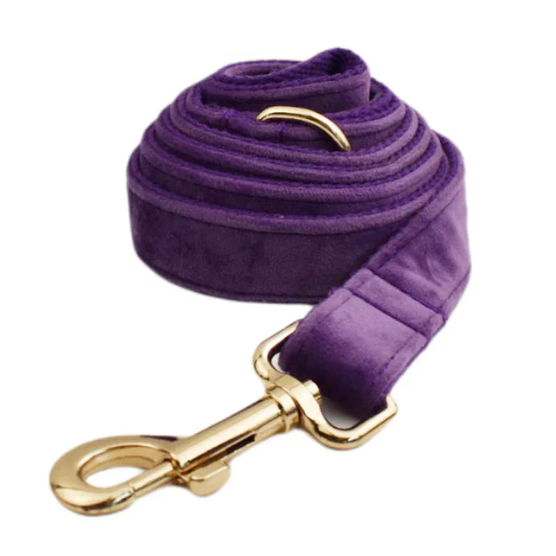 Purple Velvet Engraved Nameplate Dog Collar & Leash Set
