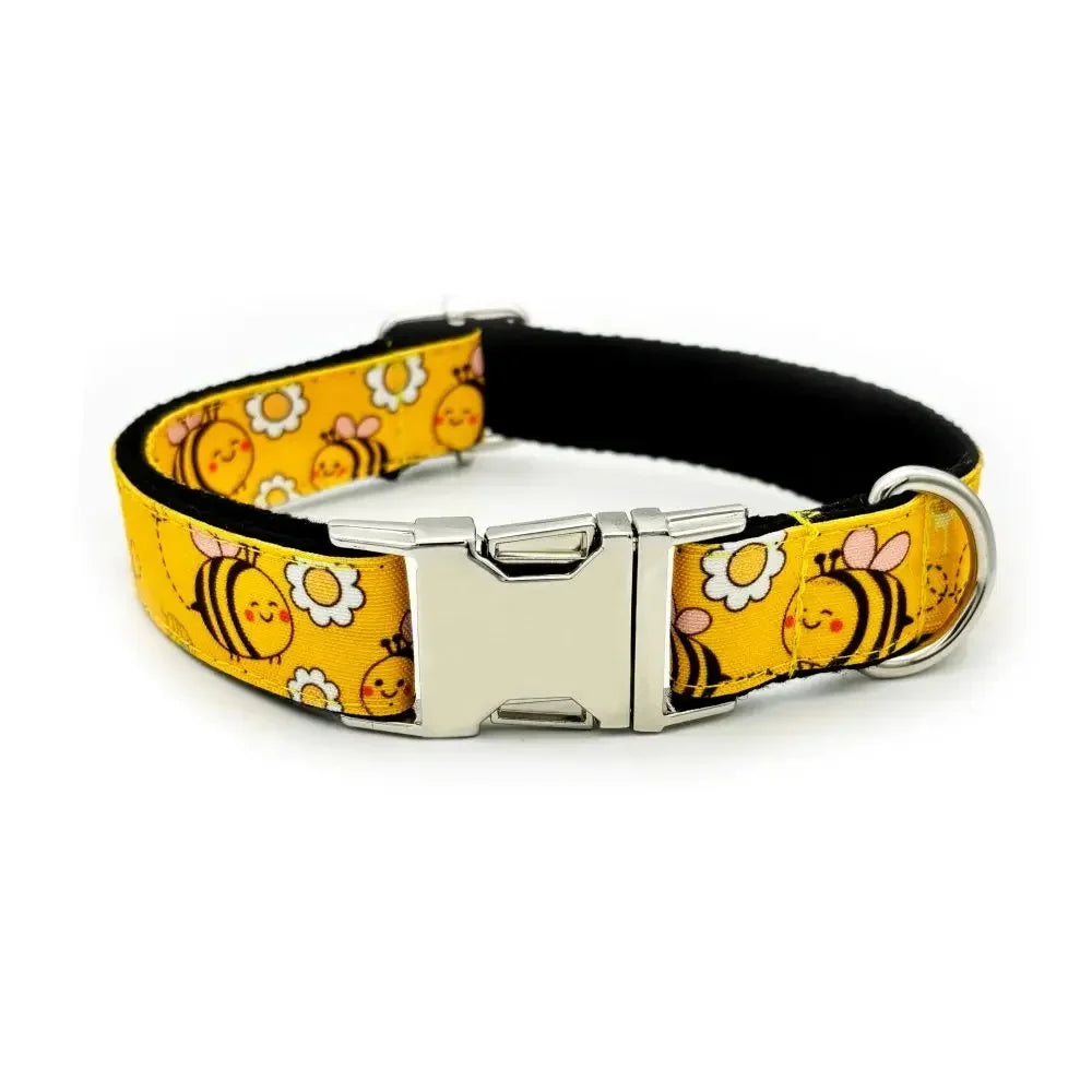 Personalized Engraved Dog Collar & Leash