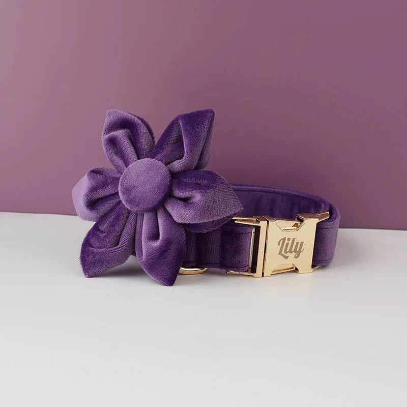 Purple Velvet Engraved Nameplate Dog Collar & Leash Set