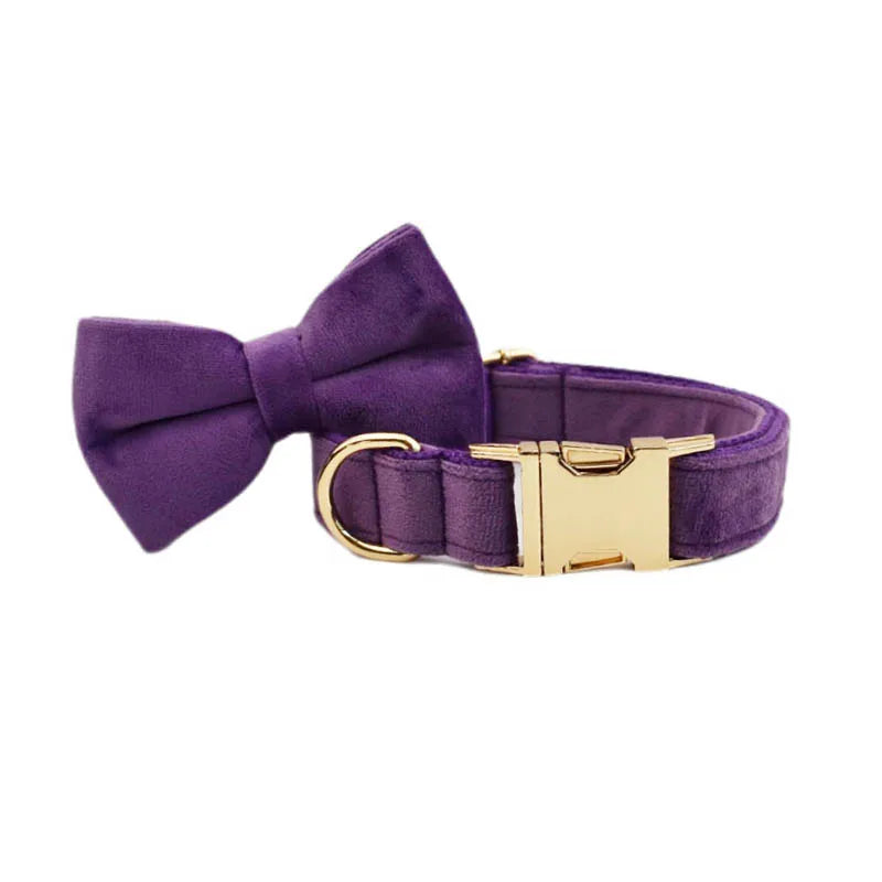 Purple Velvet Engraved Nameplate Dog Collar & Leash Set