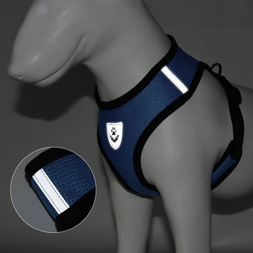 Breathable Cat Harness Vest & Leash Set