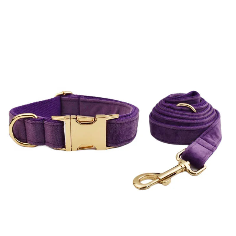 Purple Velvet Engraved Nameplate Dog Collar & Leash Set