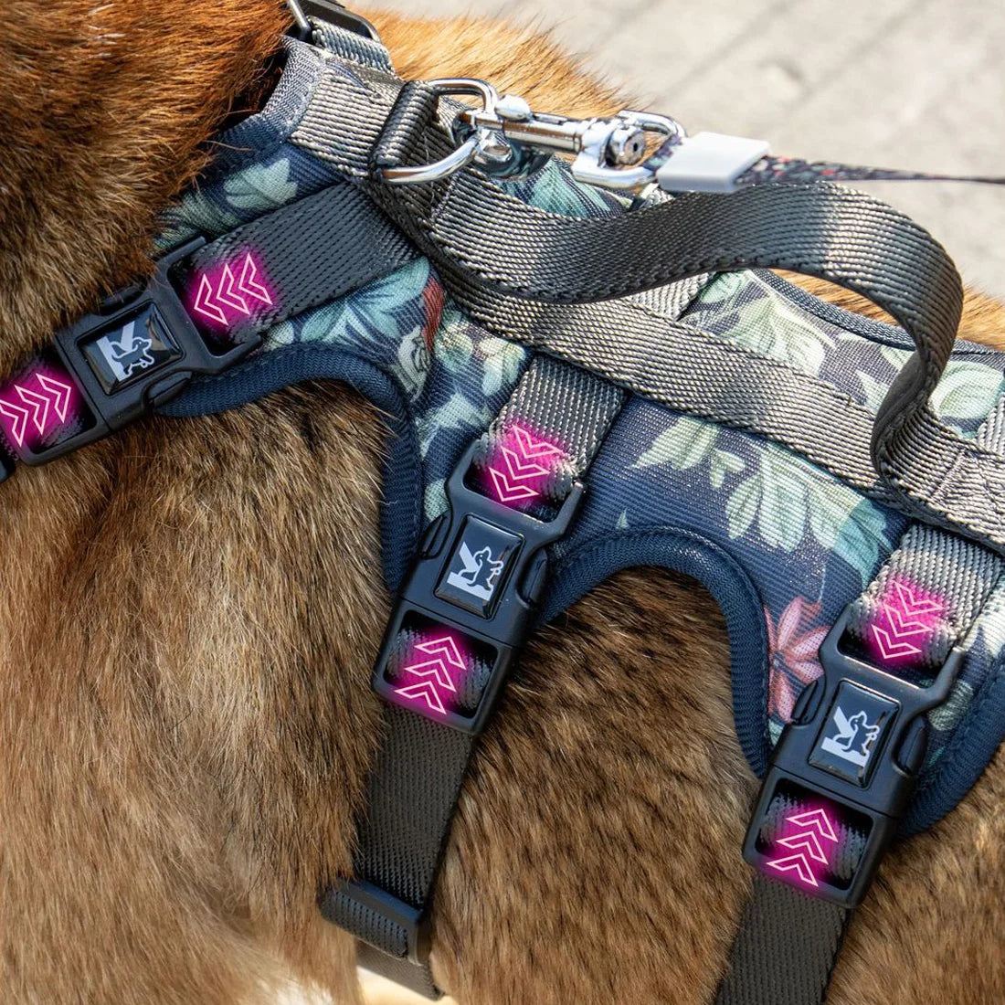 Adjustable Dog Chest Harness