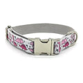 Personalized Engraved Dog Collar & Leash