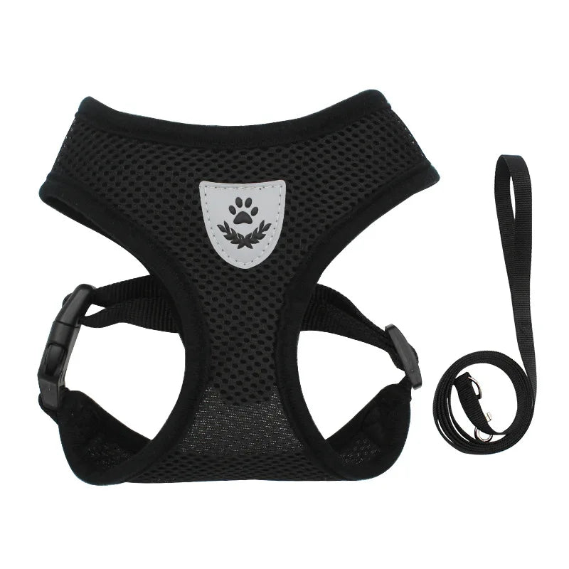 Breathable Cat Harness Vest & Leash Set