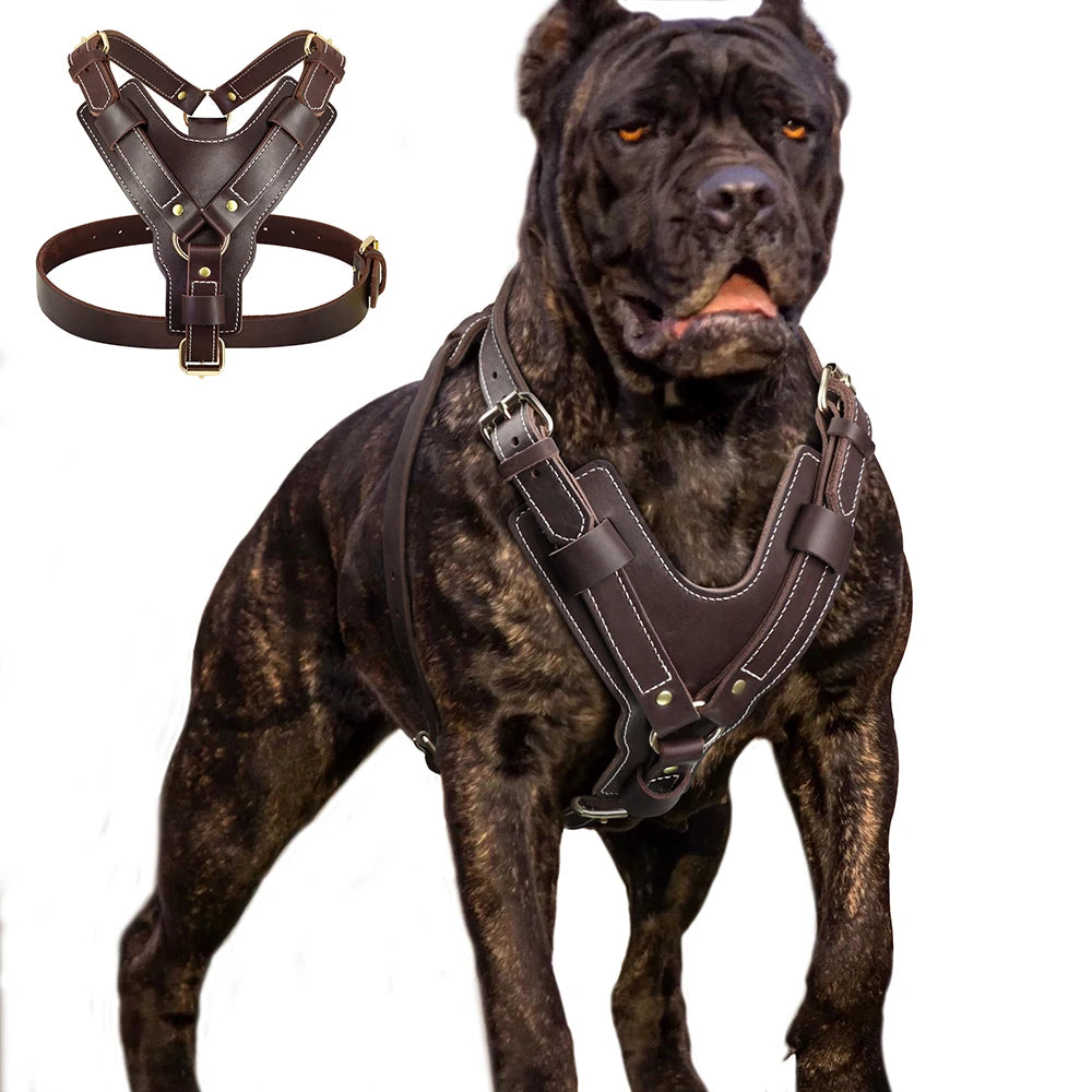 Genuine Leather Dog Vest Harness