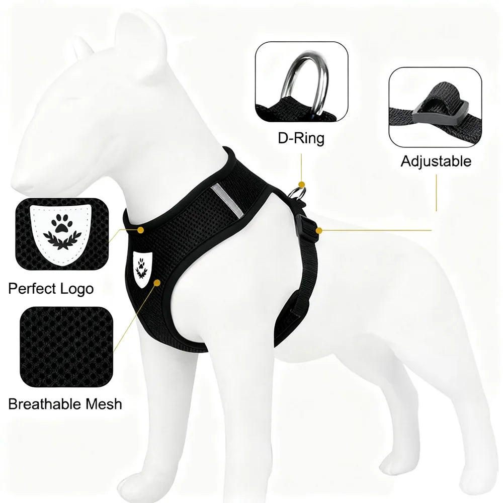Breathable Cat Harness Vest & Leash Set