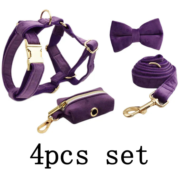 Purple Velvet Engraved Nameplate Dog Collar & Leash Set