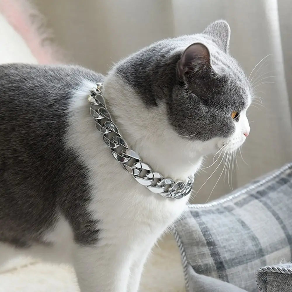 Gold Chain Fashion Collar for Cats & Dogs