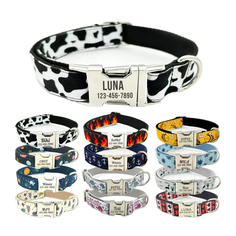 Personalized Engraved Dog Collar & Leash