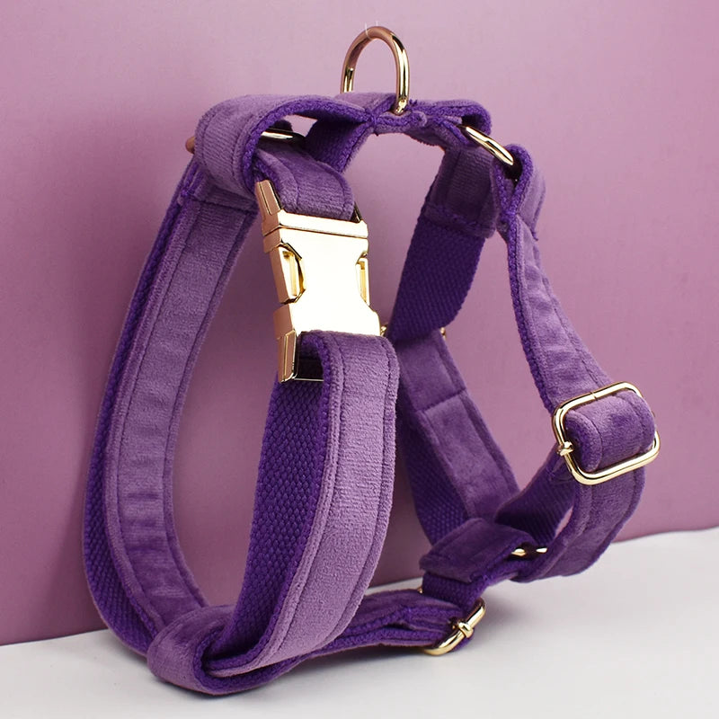 Purple Velvet Engraved Nameplate Dog Collar & Leash Set