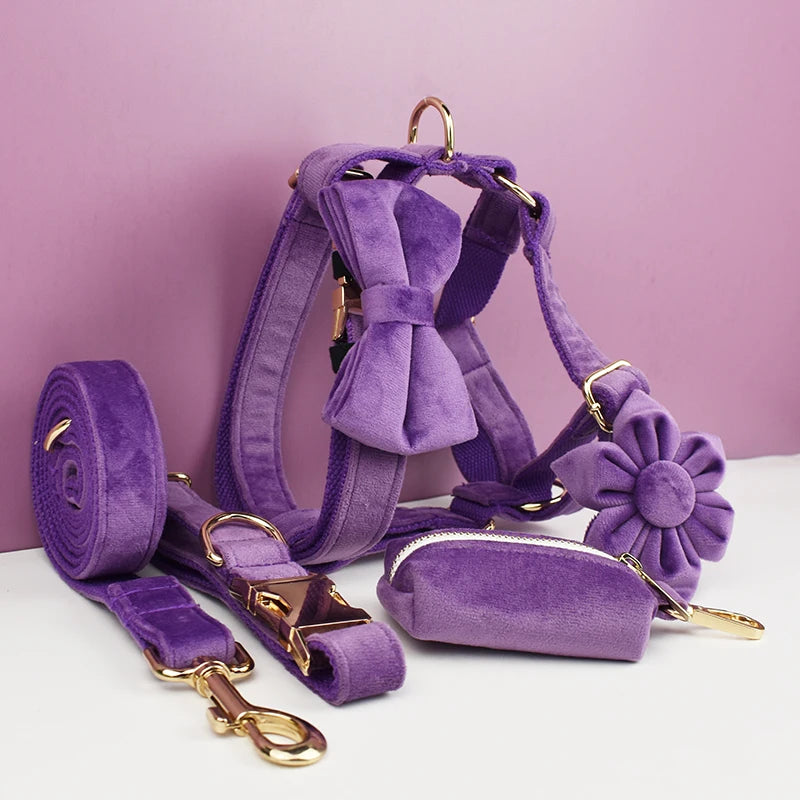 Purple Velvet Engraved Nameplate Dog Collar & Leash Set