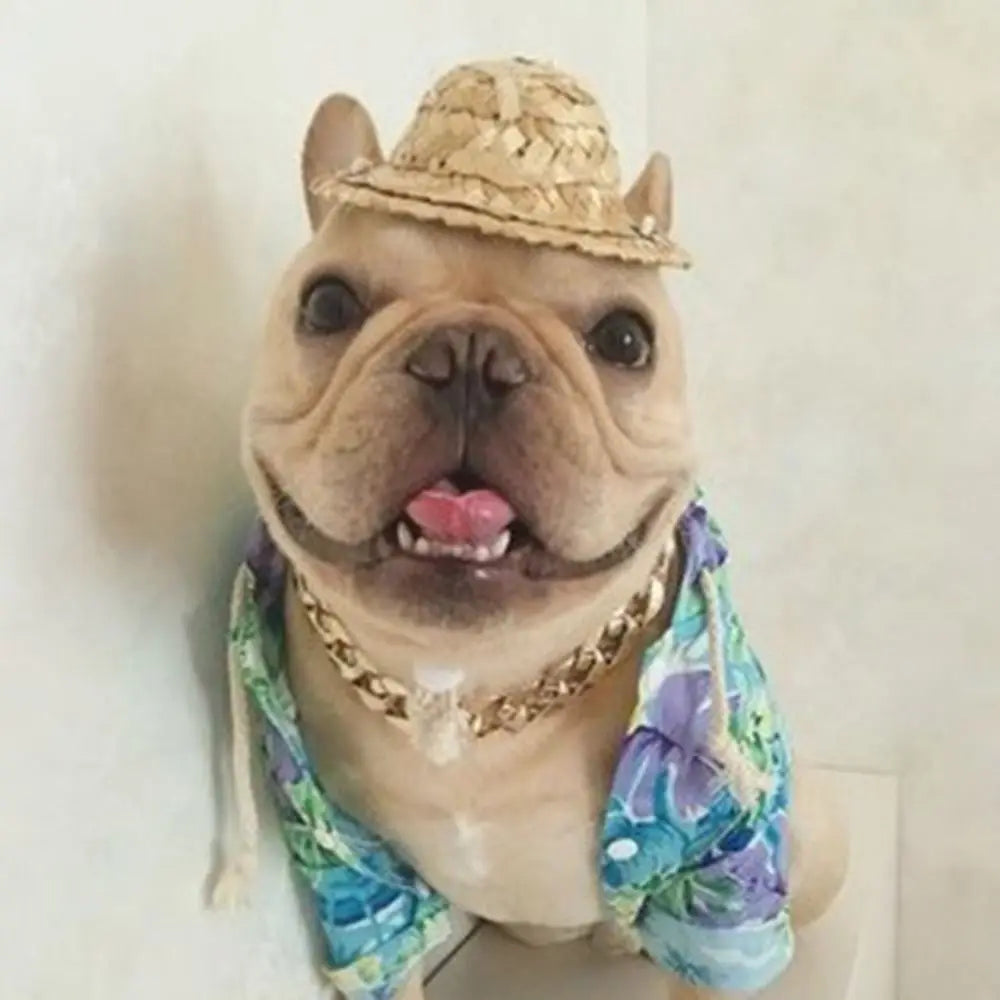 Gold Chain Fashion Collar for Cats & Dogs