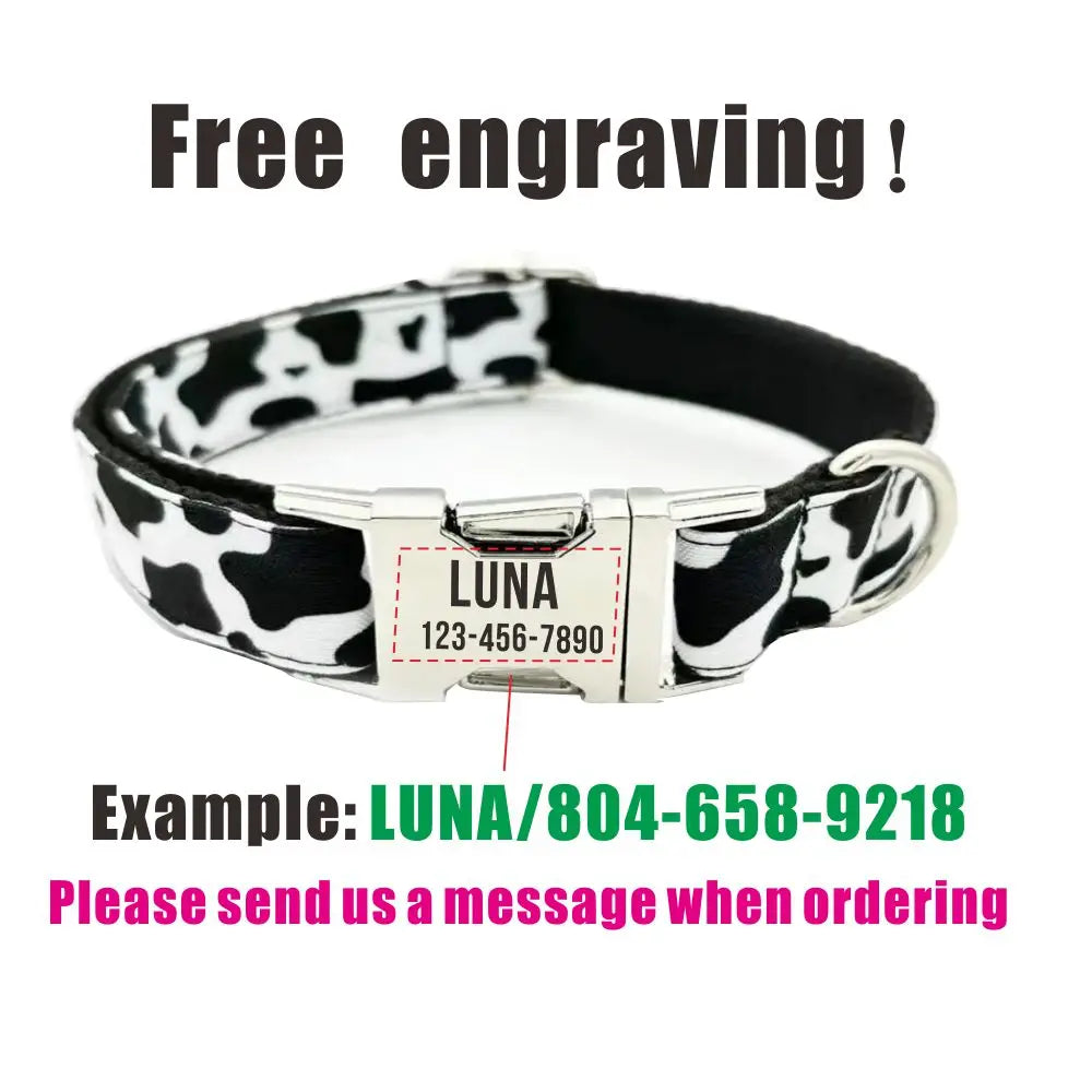 Personalized Engraved Dog Collar & Leash