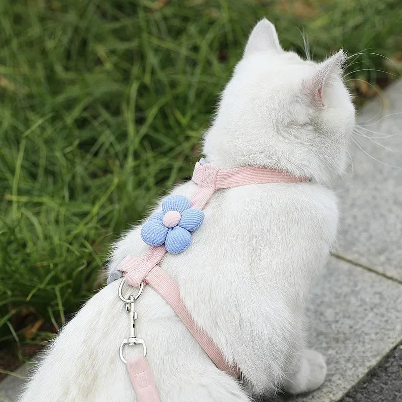 Adjustable Cat & Small Dog Harness Set