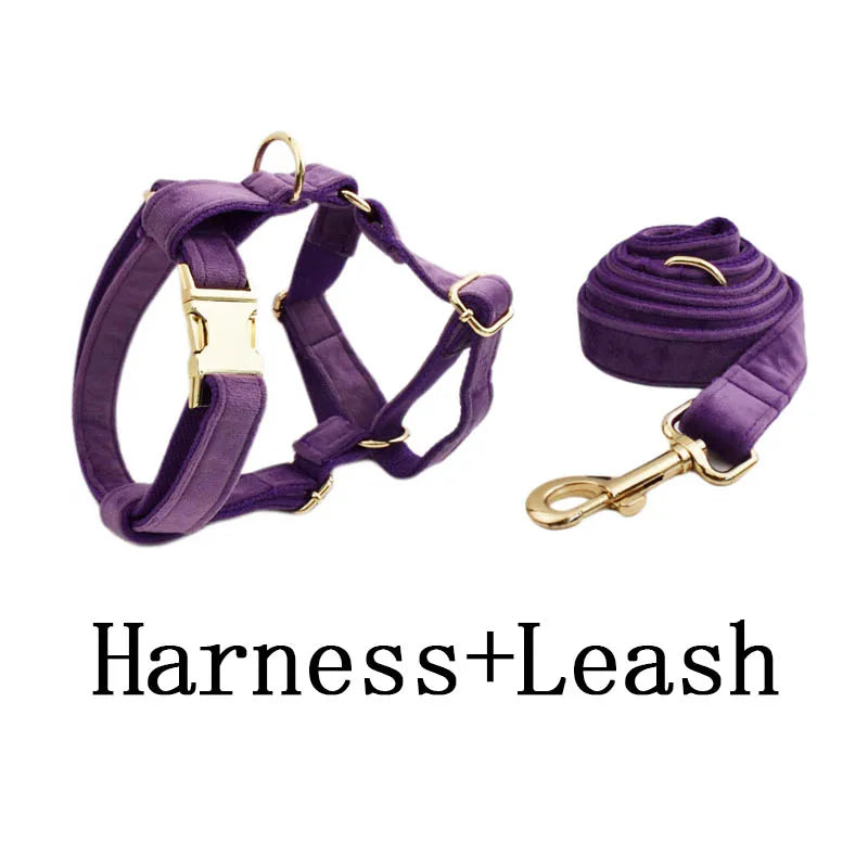 Purple Velvet Engraved Nameplate Dog Collar & Leash Set