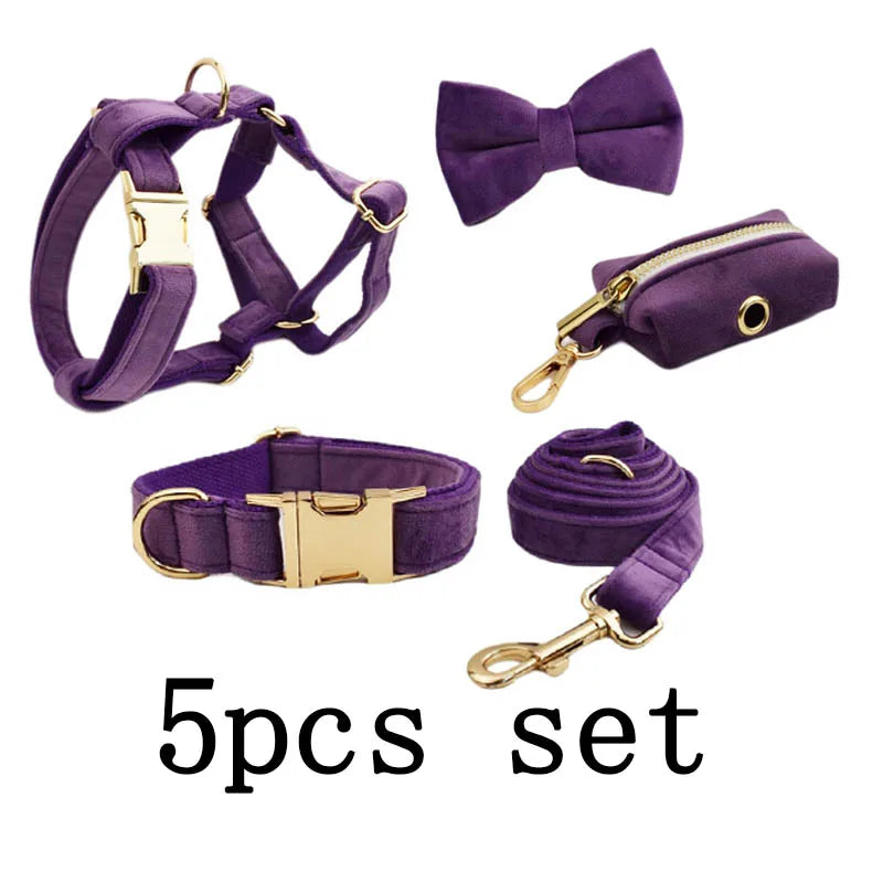 Purple Velvet Engraved Nameplate Dog Collar & Leash Set