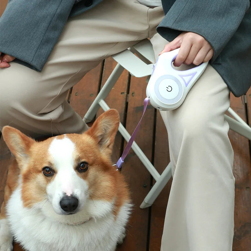 LED Streamer Retractable Dog Leash