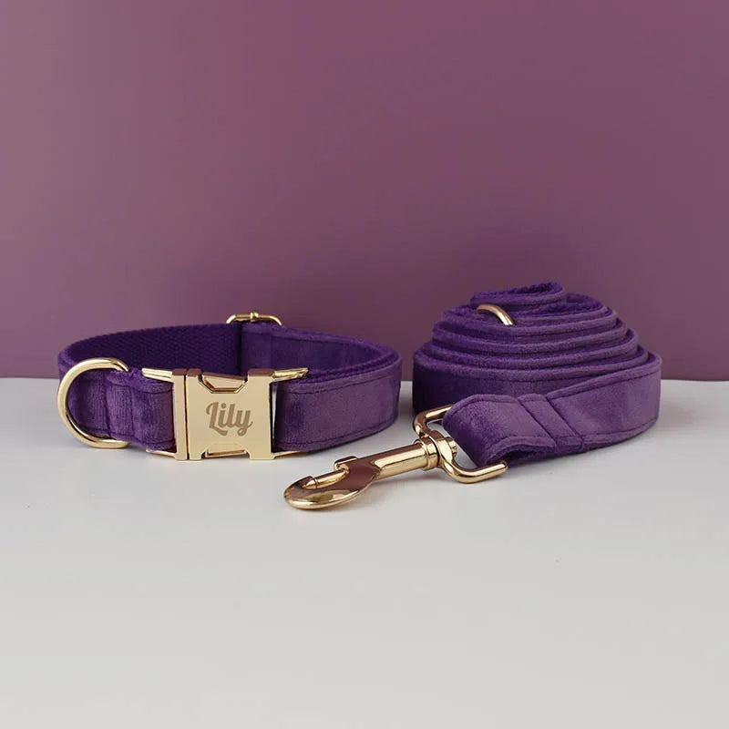 Purple Velvet Engraved Nameplate Dog Collar & Leash Set