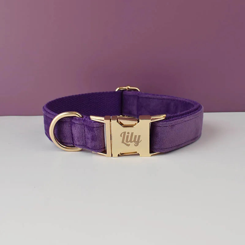 Purple Velvet Engraved Nameplate Dog Collar & Leash Set