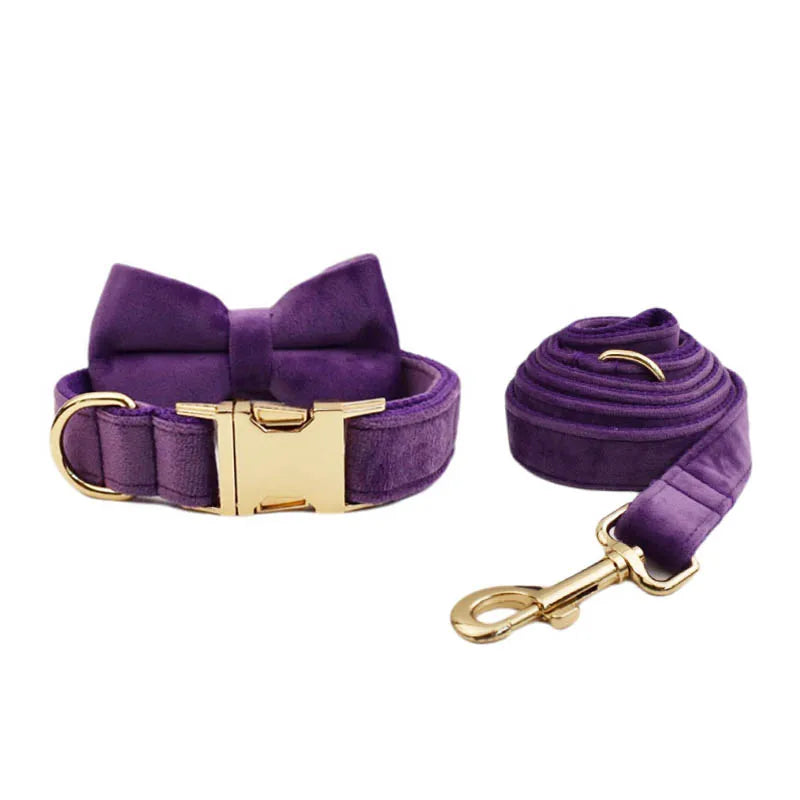 Purple Velvet Engraved Nameplate Dog Collar & Leash Set