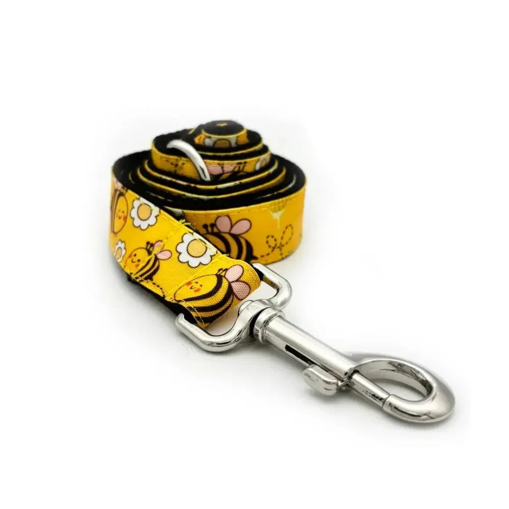 Personalized Engraved Dog Collar & Leash