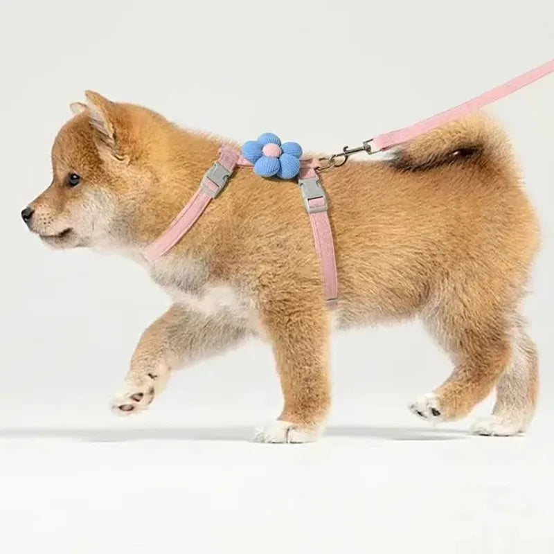 Adjustable Cat & Small Dog Harness Set