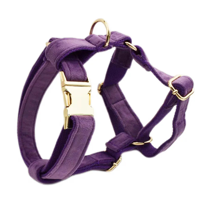 Purple Velvet Engraved Nameplate Dog Collar & Leash Set