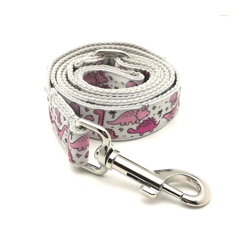Personalized Engraved Dog Collar & Leash