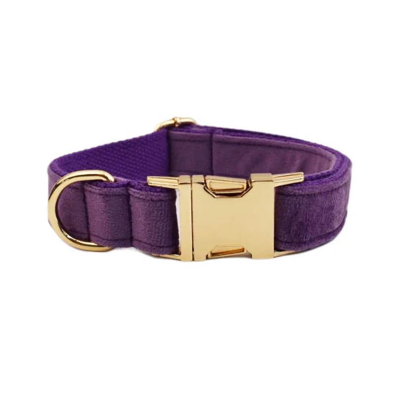 Purple Velvet Engraved Nameplate Dog Collar & Leash Set