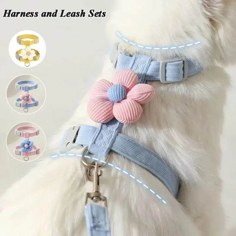 Adjustable Cat & Small Dog Harness Set