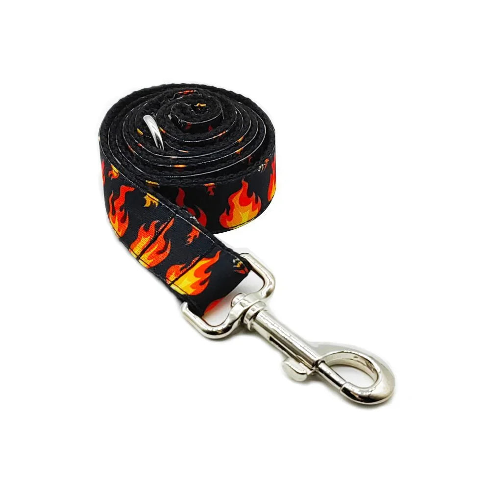 Personalized Engraved Dog Collar & Leash