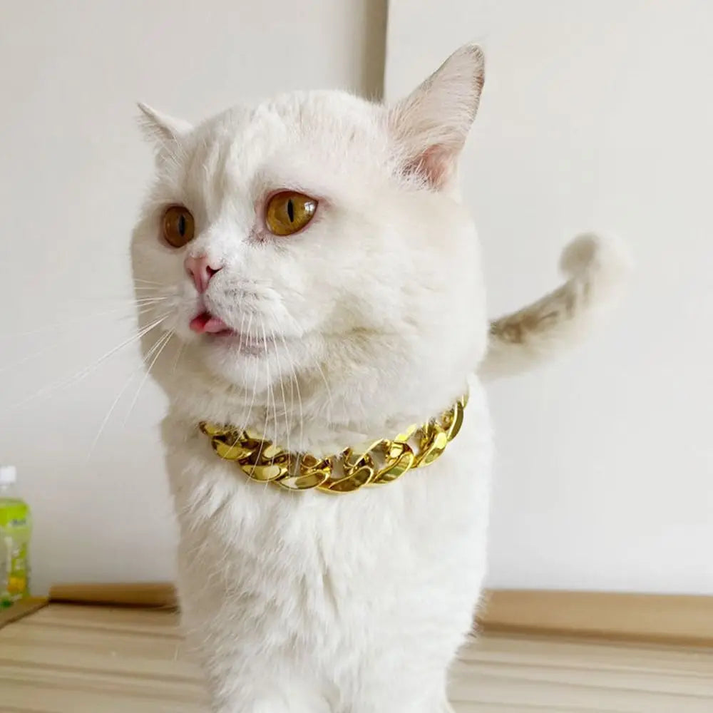 Gold Chain Fashion Collar for Cats & Dogs