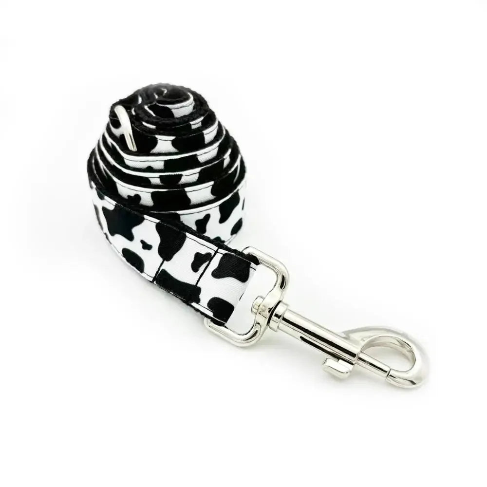 Personalized Engraved Dog Collar & Leash