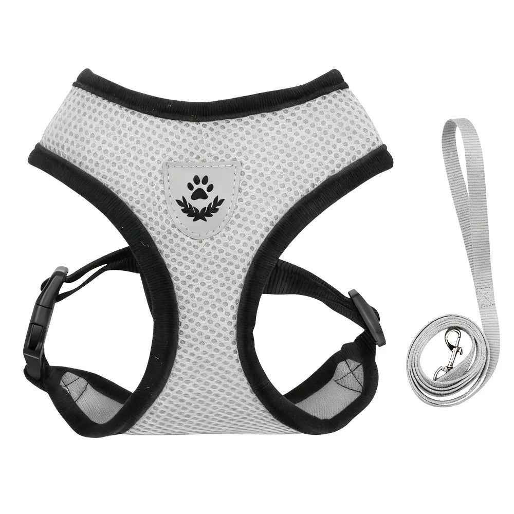 Breathable Cat Harness Vest & Leash Set