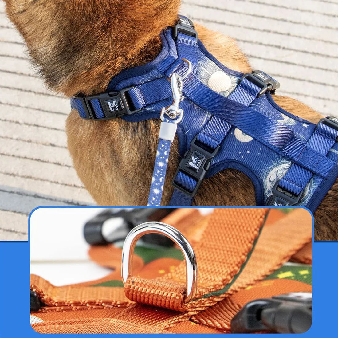 Adjustable Dog Chest Harness