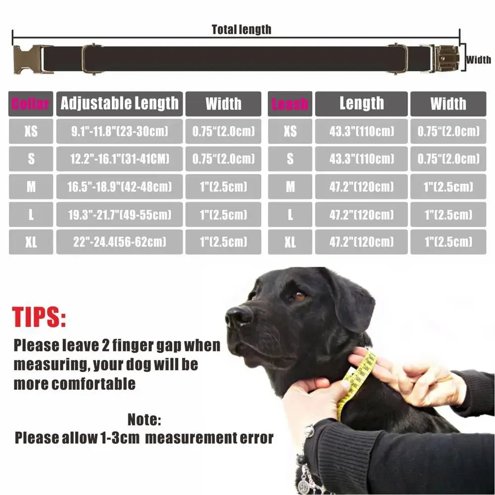 Personalized Nameplate ID Tag Collar & Leash